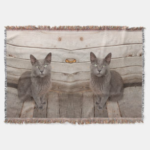 Grått Cat Filt