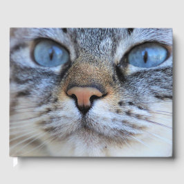 Grått Cat Gästböcker