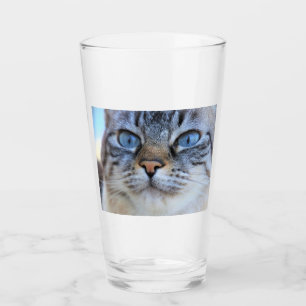 Grått Cat Glaskopp