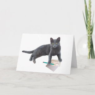 Grått Cat Grattis på födelsedagen Brev kort