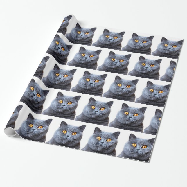 Grått cat gult ögon presentpapper (Utrullad)