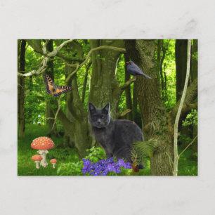 Grått Cat i skogen Vykort