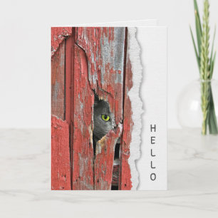 Grått Cat in Barn Hål Hej Card Kort
