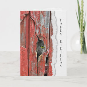 Grått Cat in Barn Hål Hej Kort