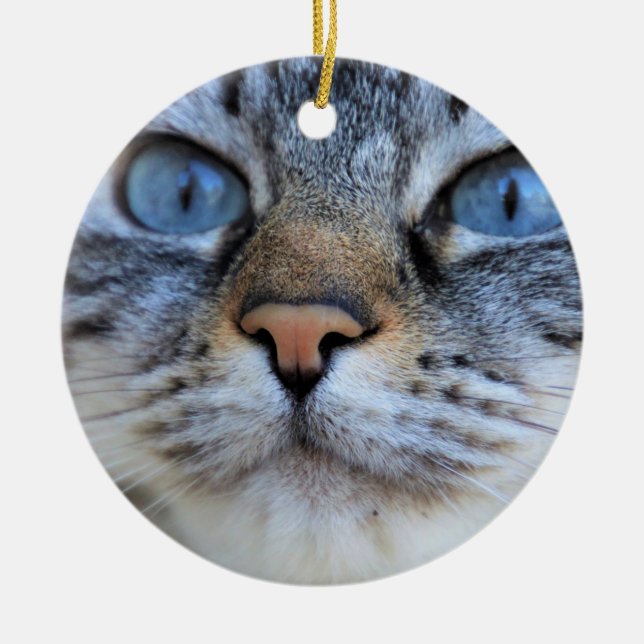 Grått Cat Julgransprydnad Keramik (Framsidan)