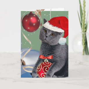 Grått Cat julspelskort Helgkort