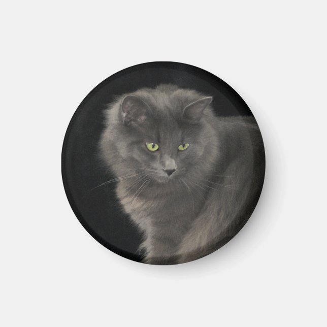 Grått Cat Long Hair Russian Blue Kattunge Kitten C Magnet (Framsidan)