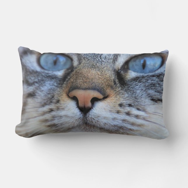 Grått Cat Lumbarkudde (Framsida)