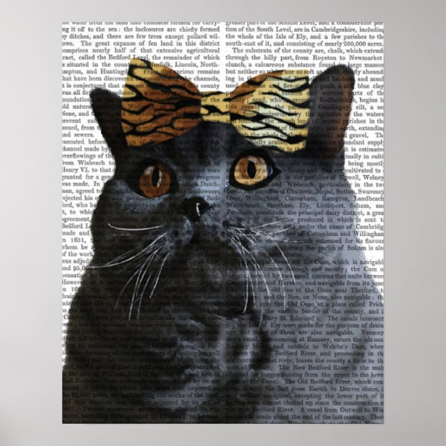 Grått Cat med Leopard Bow Poster (Framsidan)