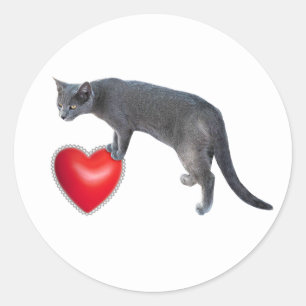 Grått Cat med röda hjärtklaffar Runt Klistermärke
