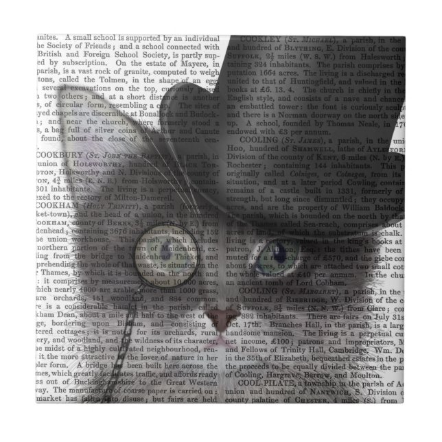 Grått Cat med Top hat Kakelplatta (Framsidan)