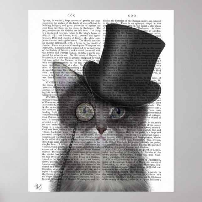Grått Cat med Top hat Poster (Framsidan)