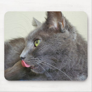 Grått cat mousepad musmatta