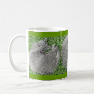 Grått Cat Nap Kaffemugg