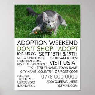 Grått Cat on Grass, Pet Adoption Event Advertising Poster
