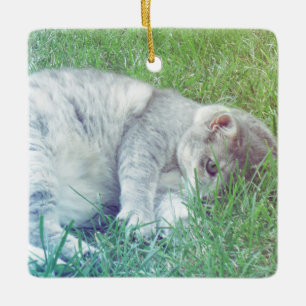 Grått Cat överlever din fotojulprydnad Julgransprydnad Keramik