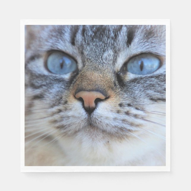 Grått Cat Pappersservett (Framsidan)