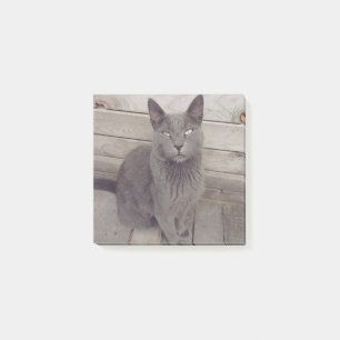 Grått Cat Post-it Block
