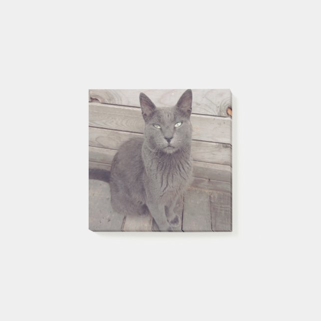 Grått Cat Post-it Block (Framsida)
