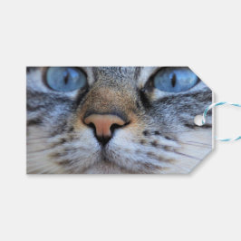 Grått Cat Presentetikett