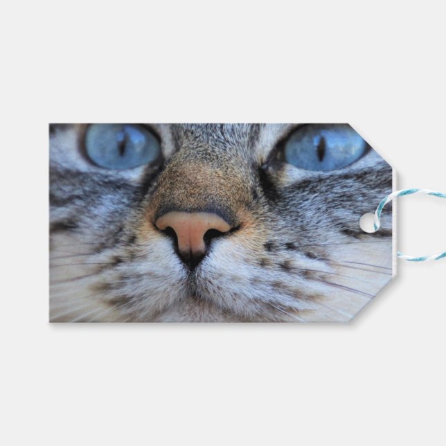 Grått Cat Presentetikett (Framsidan (Horisontell))