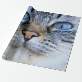 Grått Cat Presentpapper
