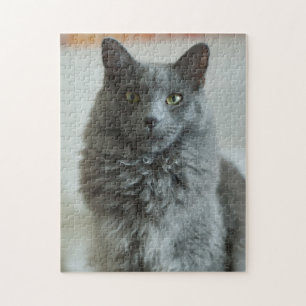 Grått Cat Puzzle Pussel