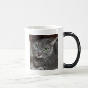 Grått Cat Russian Blue Magisk Mugg