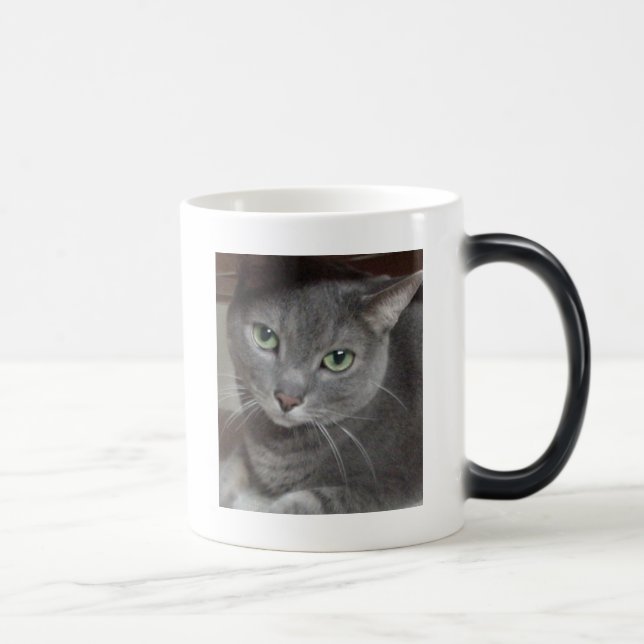 Grått Cat Russian Blue Magisk Mugg (Höger)