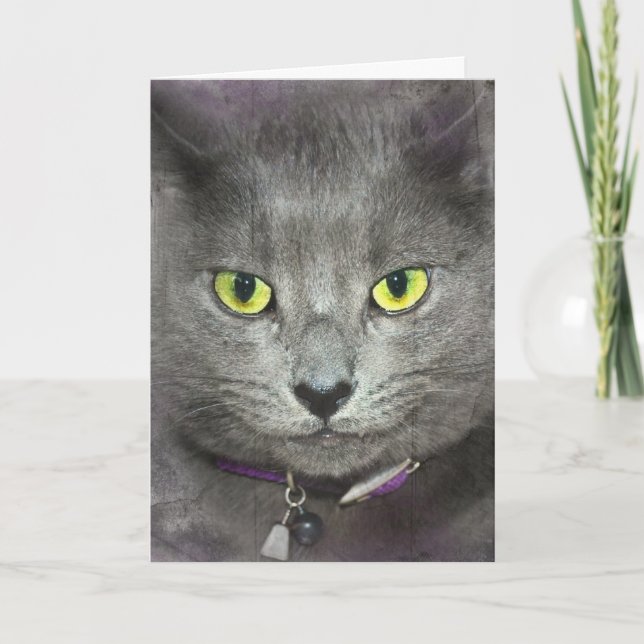 Grått Cat ska hämta gammal Humor Kort (Framsida)