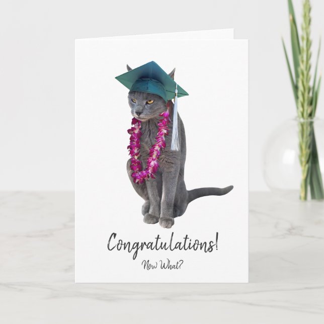 Grått Cat Studenten kort (Framsida)