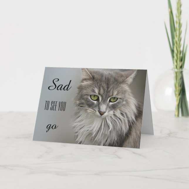 Grått Cat Sympathy Greeting Card Kort (Framsida)