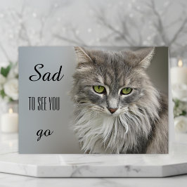 Grått Cat Sympathy Greeting Card Kort