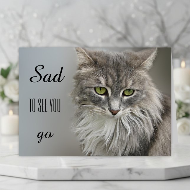 Grått Cat Sympathy Greeting Card Kort (A beautiful cat sympathy card to express your compassion for the loss of a sweet kitty)