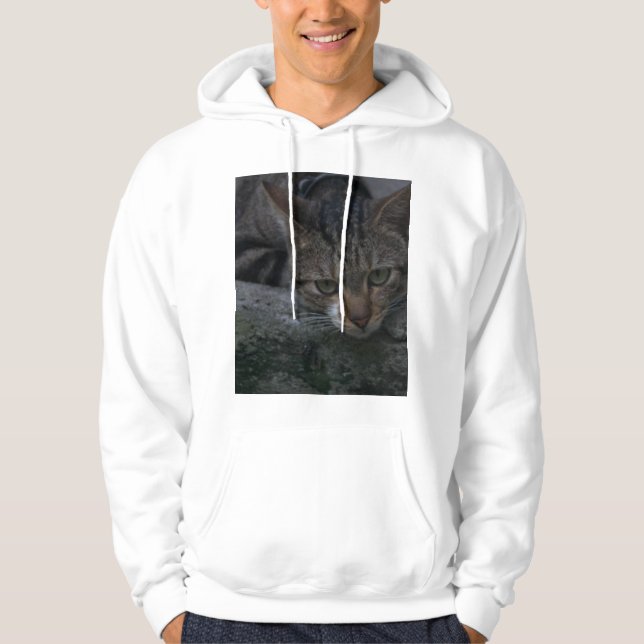 Grått Cat Tittar Hoodie (Framsida)