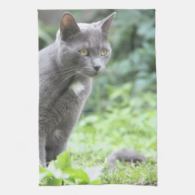 Grått Cat Towel Kökshandduk (Vertikal)