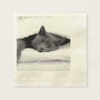 Grått Cat under vitt blanket Pappersservett