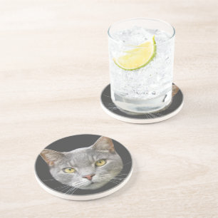 Grått Cat Underlägg
