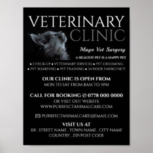 Grått Cat, veterinär, veterinär, veterinär, Advert Poster