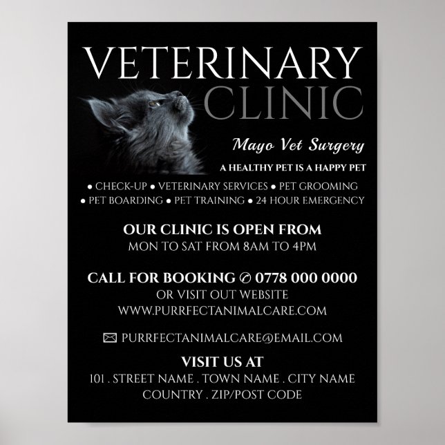Grått Cat, veterinär, veterinär, veterinär, Advert Poster (Framsidan)