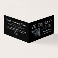 Grått Cat, veterinär, veterinärmedicinsk, utförlig