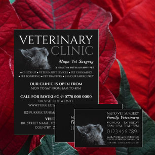 Grått Cat, veterinär, veterinärtjänst Visitkort