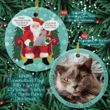 Grått Cat Visits Santa med Superskoj Wish