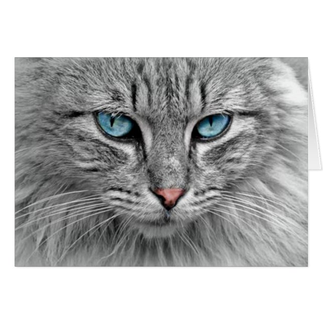 Grått Cat w/Blue Öga Hälsningskort (Framsidan Horizontal)