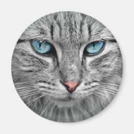 Grått Cat w/Blue Öga Magnet