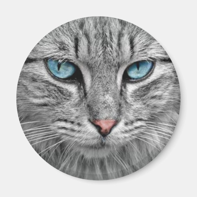 Grått Cat w/Blue Öga Magnet (Framsidan)