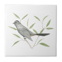 Grått Catbird Bird Art
