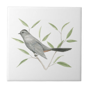 Grått Catbird Bird Art Kakelplatta