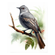 Grått Catbird Bird Art Print Poster