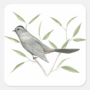 Grått Catbird Bird Art Sticker Fyrkantigt Klistermärke